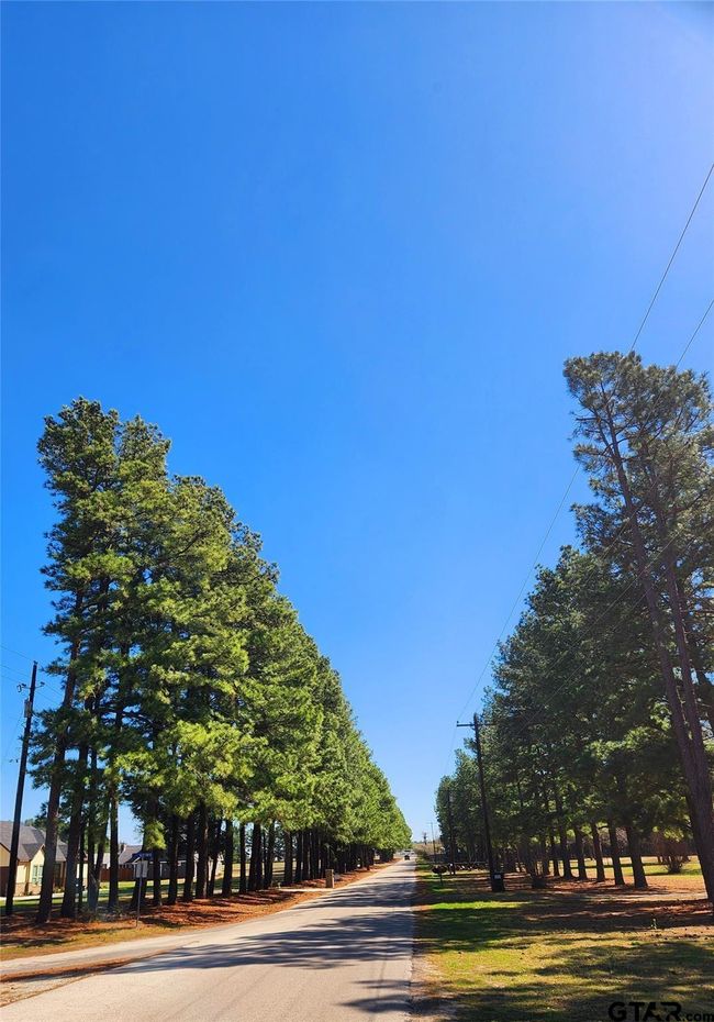 Lot 42 Shore Crest Way, Home with 0 bedrooms, 0 bathrooms and null parking in Athens TX | Image 24