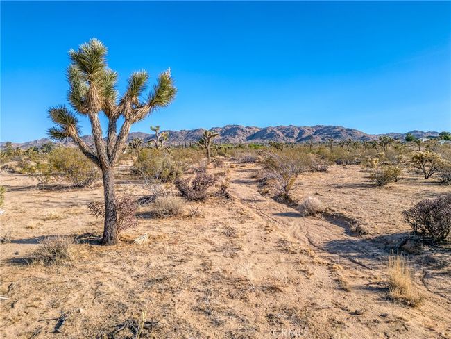107 Juniper Rd, Home with 0 bedrooms, 0 bathrooms and null parking in Joshua Tree CA | Image 16