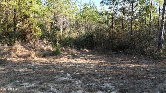 Junction Tracts 2, 3, 4 | Image 5