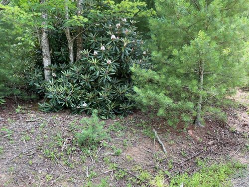 555 Evergreen Trail, Fancy Gap, VA, 24328 | Card Image
