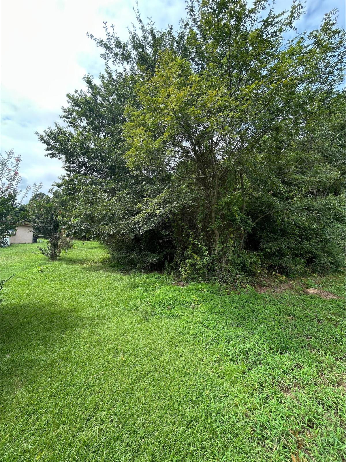 Land in Summerton 5