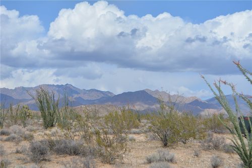 4 Rose Well Rd, Yucca, AZ, 86438 | Card Image