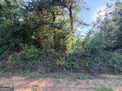 0 Hollis Rd, Roberta, GA, 31078 | Card Image