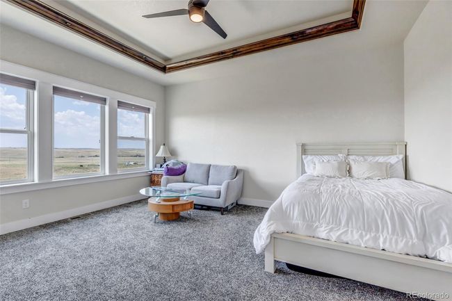 Main Level Primary Bedroom | Image 10