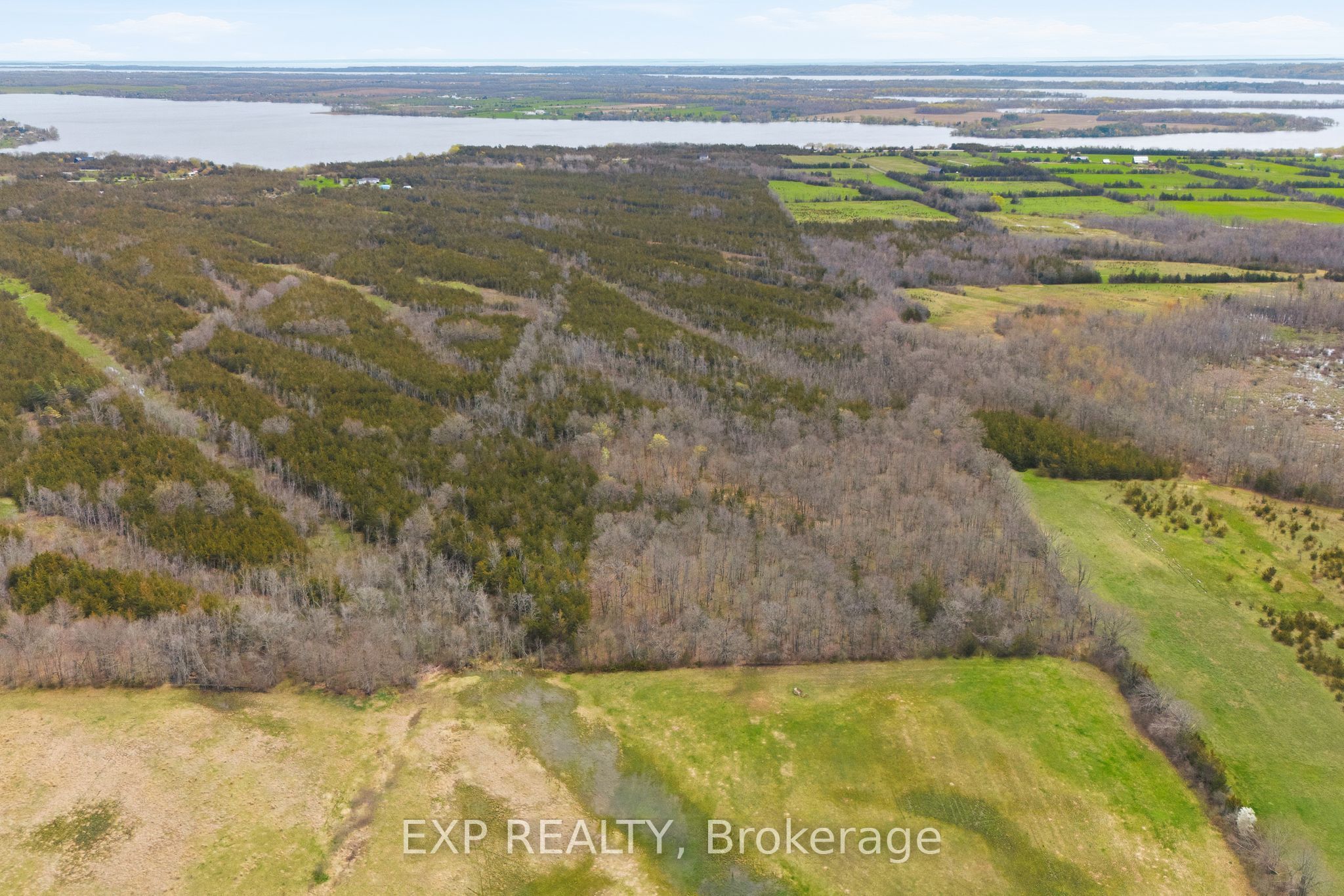 Residential in Prince Edward County 4