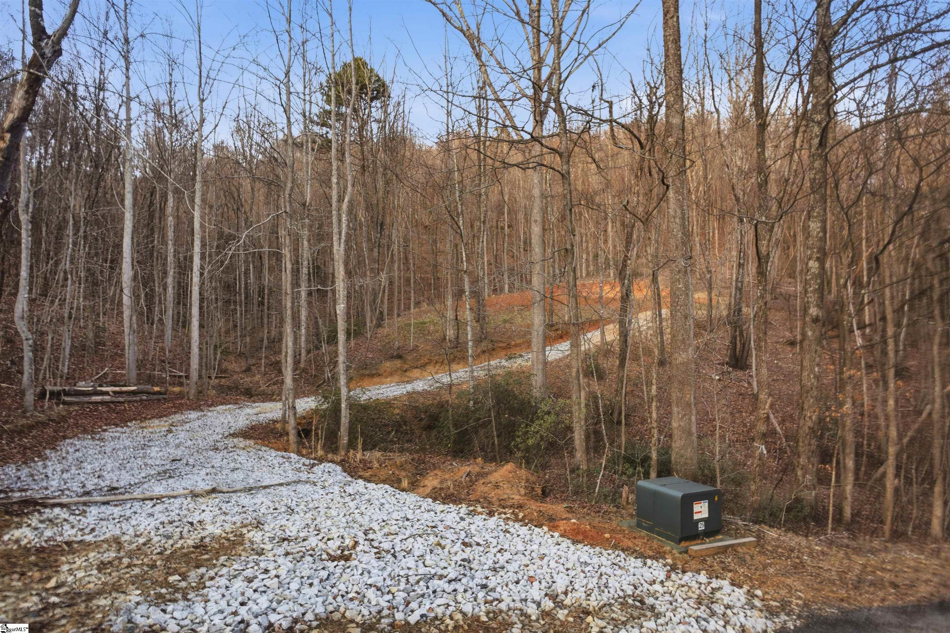 Land in Landrum 2