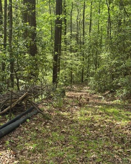 348 Hemlock Trl, Ellijay, GA, 30540 | Card Image