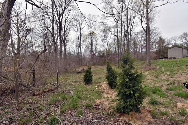 view of landscape | Image 45