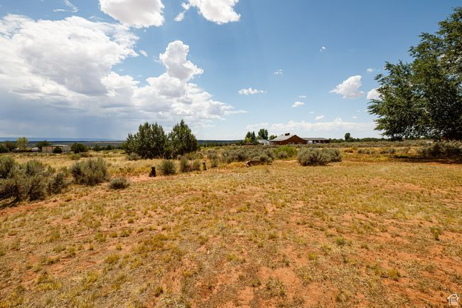 View of local wilderness with a rural view | Image 35