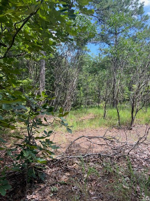 000 Burnt Ridge Rd, Shirley, AR, 72153 | Card Image