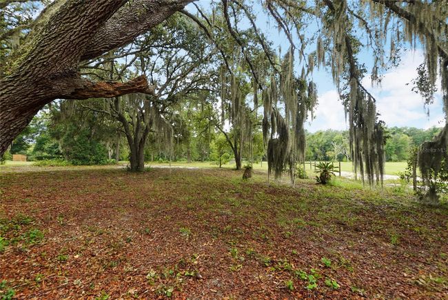 4814 Griffin View Dr, House other with 3 bedrooms, 3 bathrooms and null parking in LADY LAKE FL | Image 74