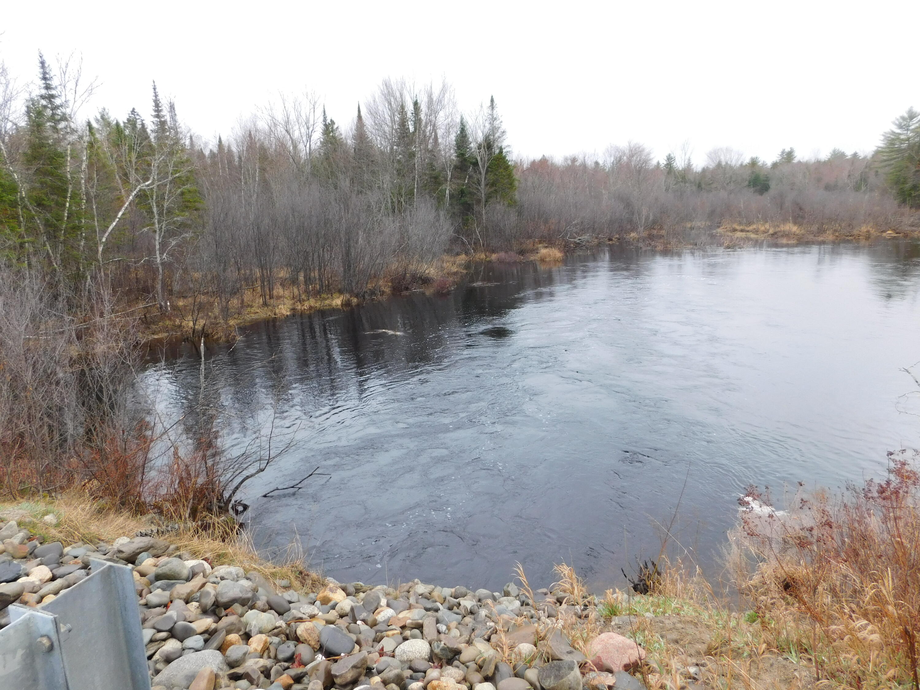 Land in Greenbush 3
