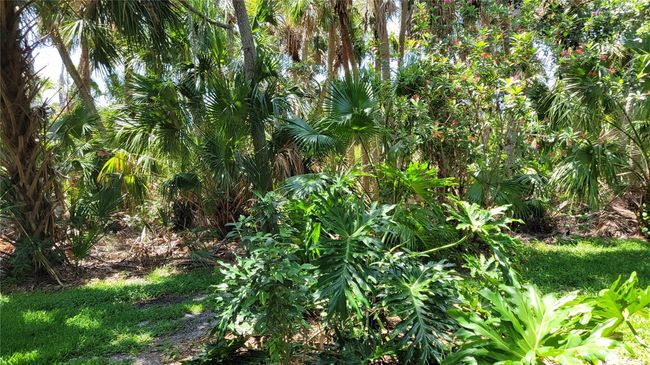 5050 Hanging Moss Ln, House other with 3 bedrooms, 3 bathrooms and null parking in SARASOTA FL | Image 30