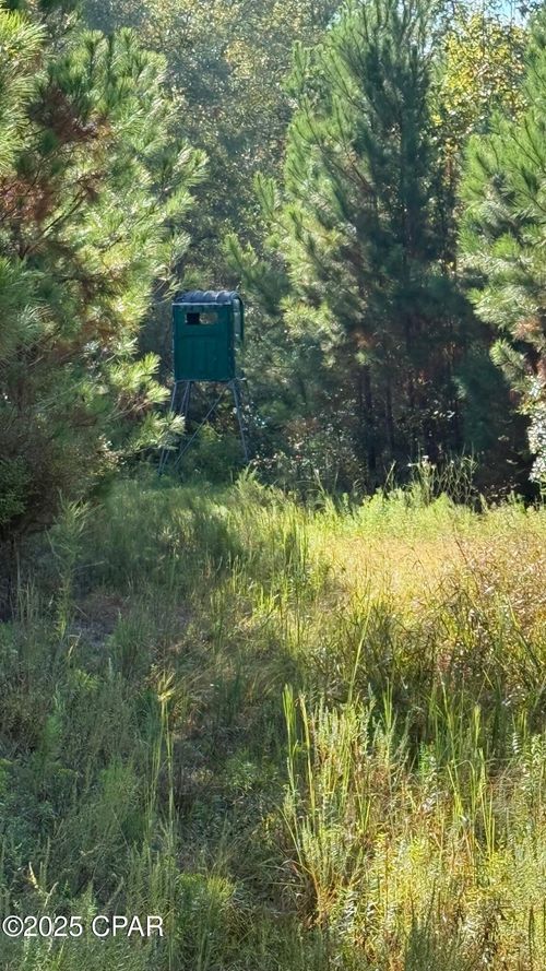 0 Highway 2, Graceville, FL, 32440 | Card Image