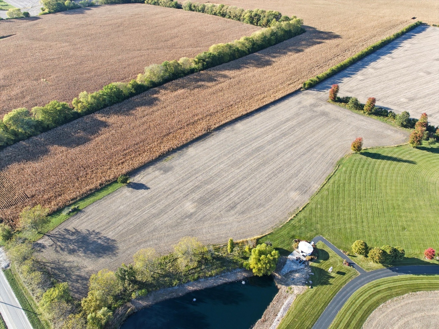 Farm in Manhattan 5