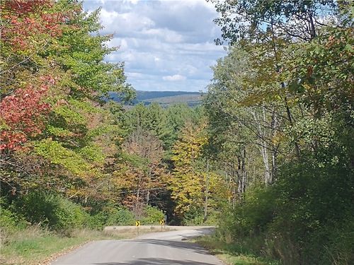 0 Dawson Hill Rd, Spencer, NY, 14883 | Card Image