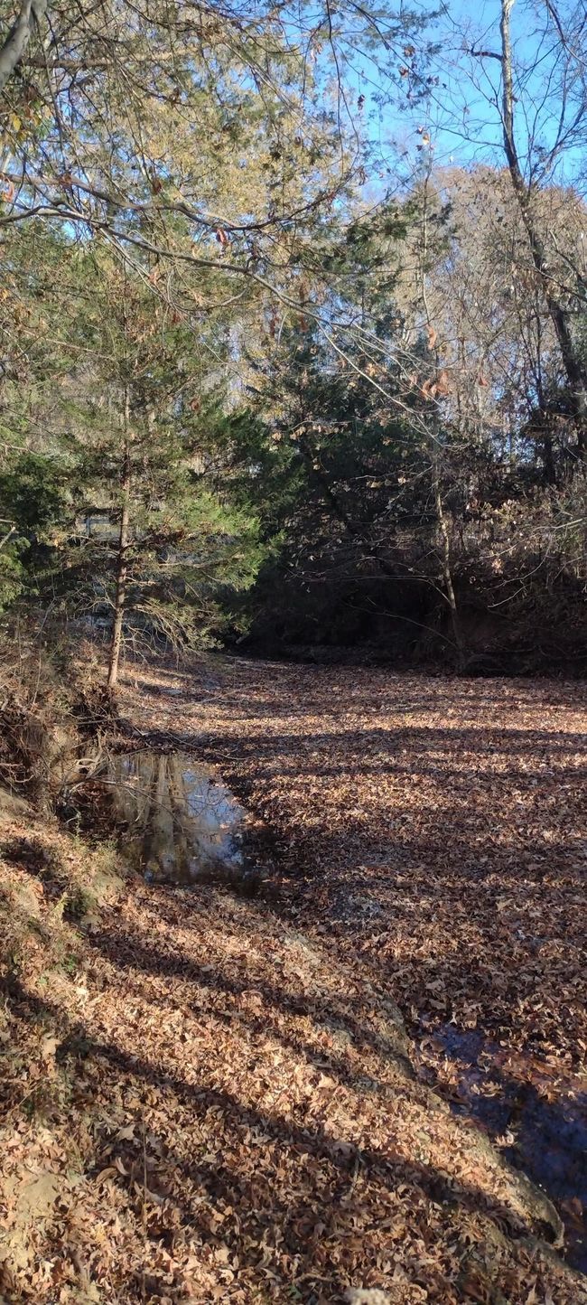 0000 Highway 56, Home with 0 bedrooms, 0 bathrooms and null parking in Russellville AL | Image 30
