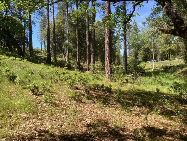 16688 Sonshine Ln, Home with 0 bedrooms, 0 bathrooms and null parking in Sutter Creek CA | Image 60
