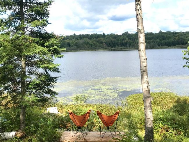 1133 Fire Route A1, Home with 0 bedrooms, 0 bathrooms and 4 parking in Gravenhurst ON | Image 13