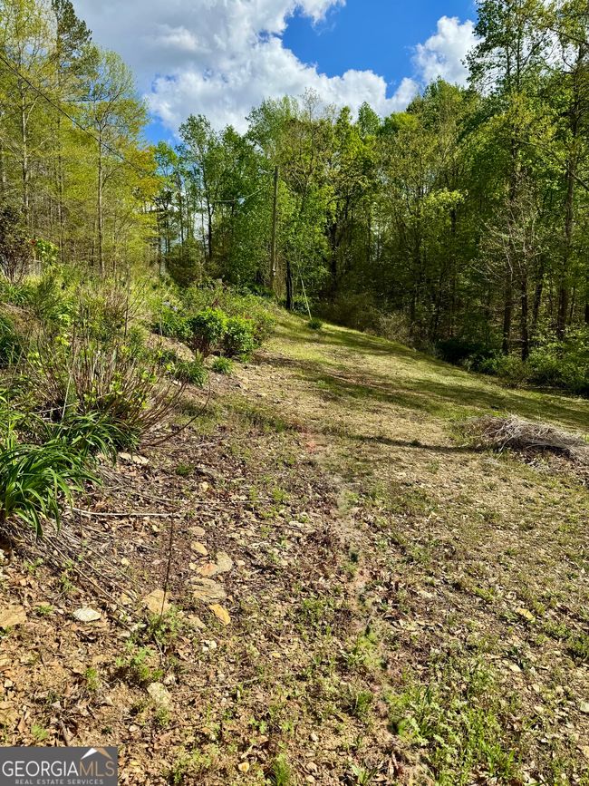1037 County Road 43, Home with 0 bedrooms, 0 bathrooms and null parking in HEFLIN AL | Image 13