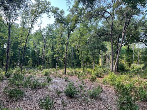 9000 Sw 151st Pl, DUNNELLON, FL, 34432-6734 | Card Image