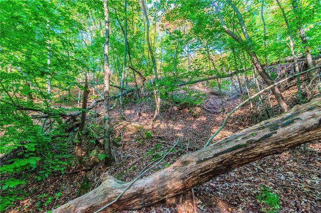 50 Jakes Landing Way S, Home with 0 bedrooms, 0 bathrooms and null parking in Ellijay GA | Image 26