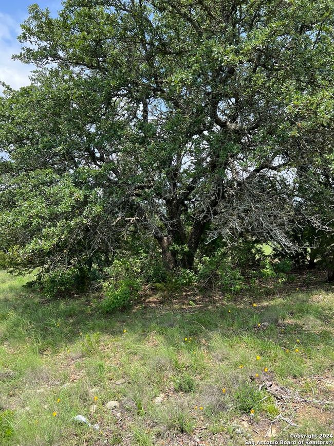 23 Lipan Apache Run, Home with 0 bedrooms, 0 bathrooms and null parking in Blanco TX | Image 7