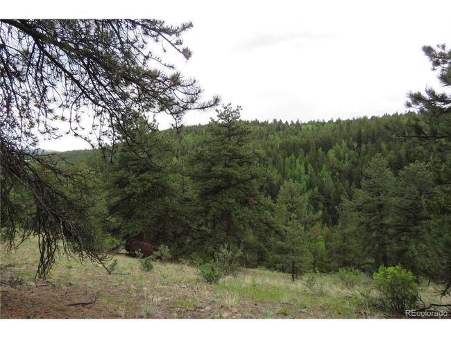 0 Come And See Mine, Home with 0 bedrooms, 0 bathrooms and null parking in Central City CO | Image 36