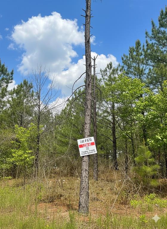 Land in Broken Bow 3