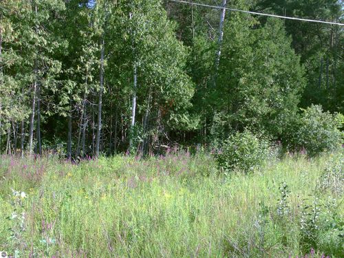 0 E M 55, Tawas City, MI, 48763 | Card Image