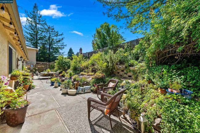 Patio & Garden | Image 33