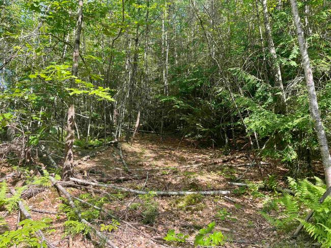 63 New Boston Rd, Home with 0 bedrooms, 0 bathrooms and null parking in Francestown NH | Image 6