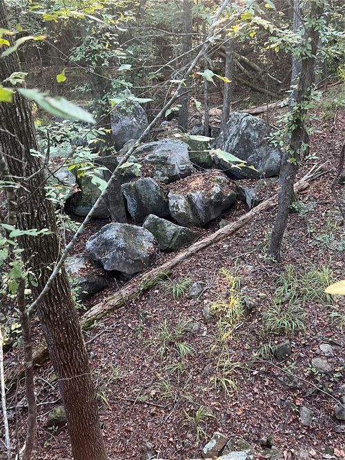 4304 Corrigan Hts Rd, Corrigan, TX, 75939-8020 | Card Image