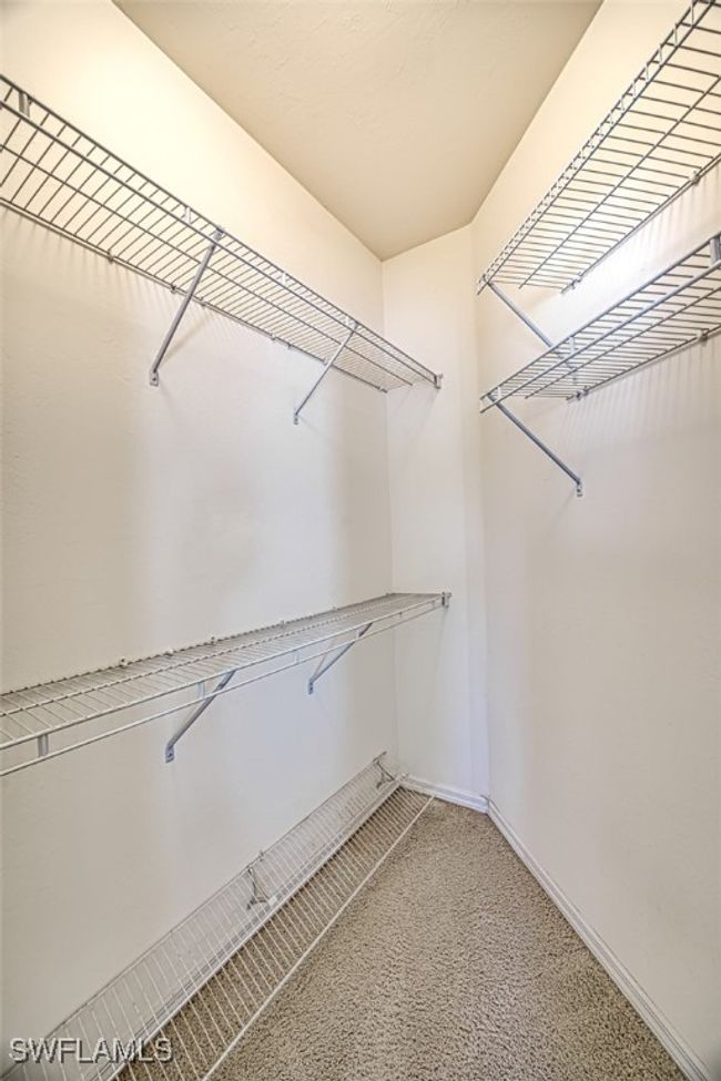Spacious closet featuring carpet | Image 33