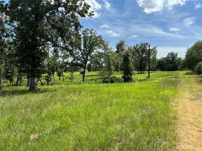 000 Hickory Loop, Home with 0 bedrooms, 0 bathrooms and null parking in Thornton TX | Image 9