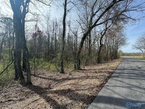 14 ACRES Williams St, Section, AL, 35771 | Card Image