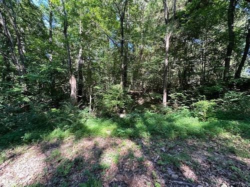 0 Cummins Rd, Eva, TN, 38333 | Card Image