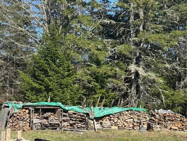 26 Highway 336, House other with 1 bedrooms, 1 bathrooms and 1 parking in Newton Mills NS | Image 29