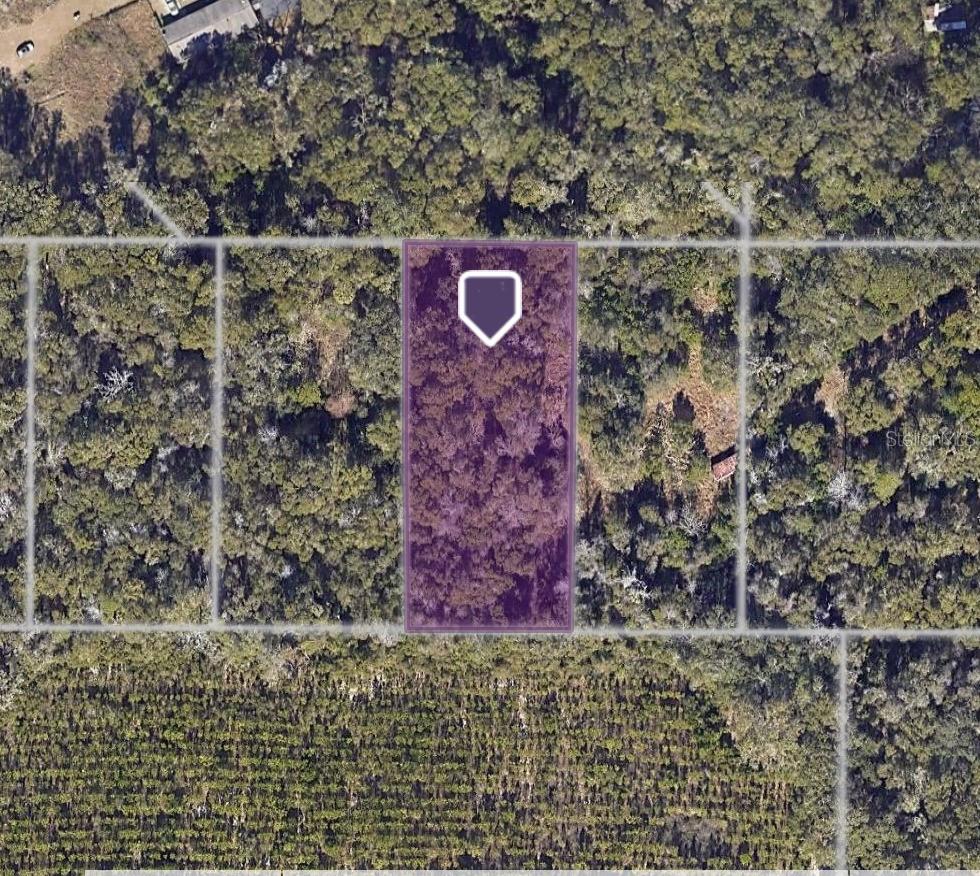 Land in GAINESVILLE