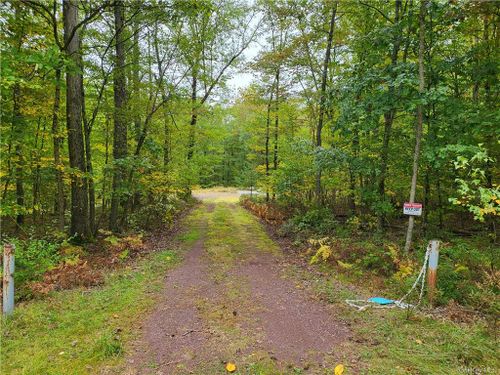  Cushetunk Drive, Cochecton, NY, 12764 | Card Image