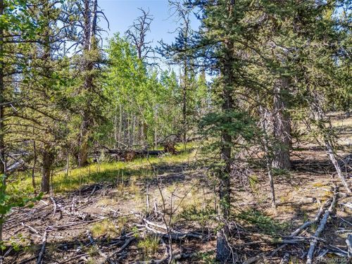 50 Rawhide Way, Jefferson, CO, 80456 | Card Image