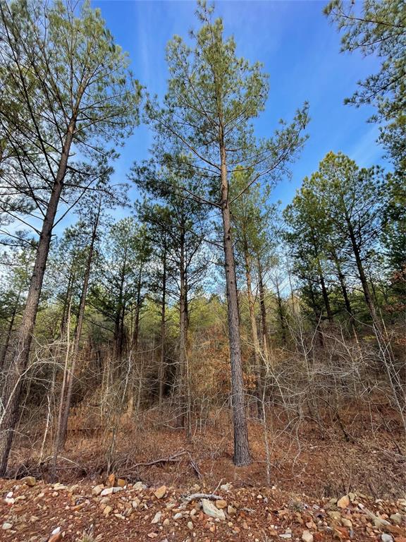 Land in Broken Bow 4