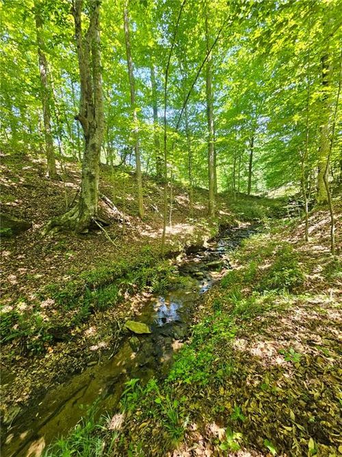 00 Ridgedale Rd, Six Mile, SC, 29682 | Card Image