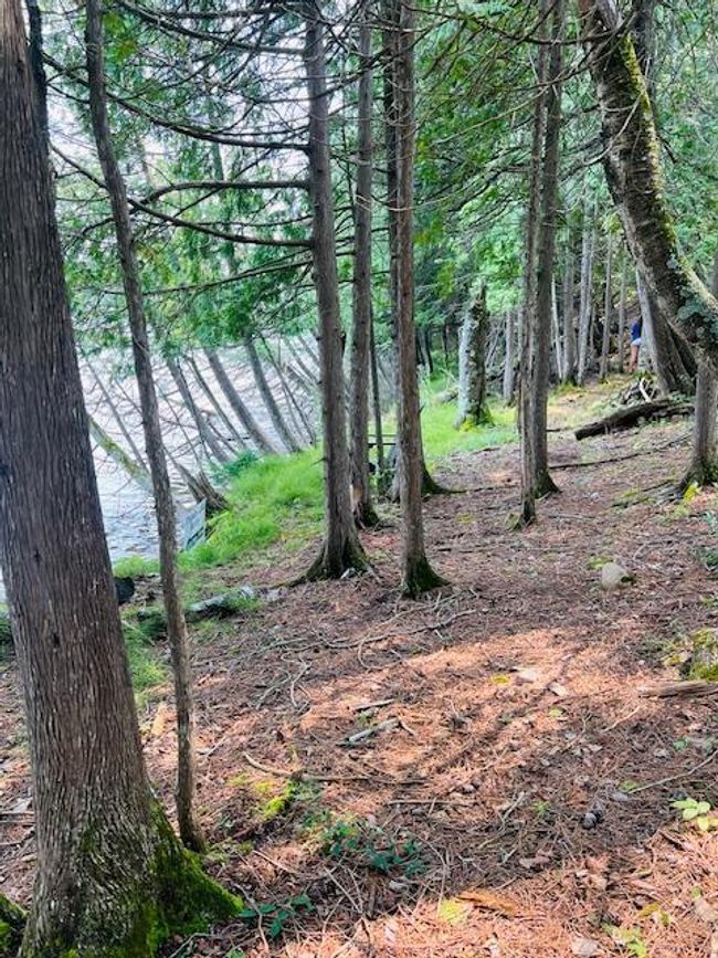Level area at lake, perfect for sitting or storing dock in winter | Image 47