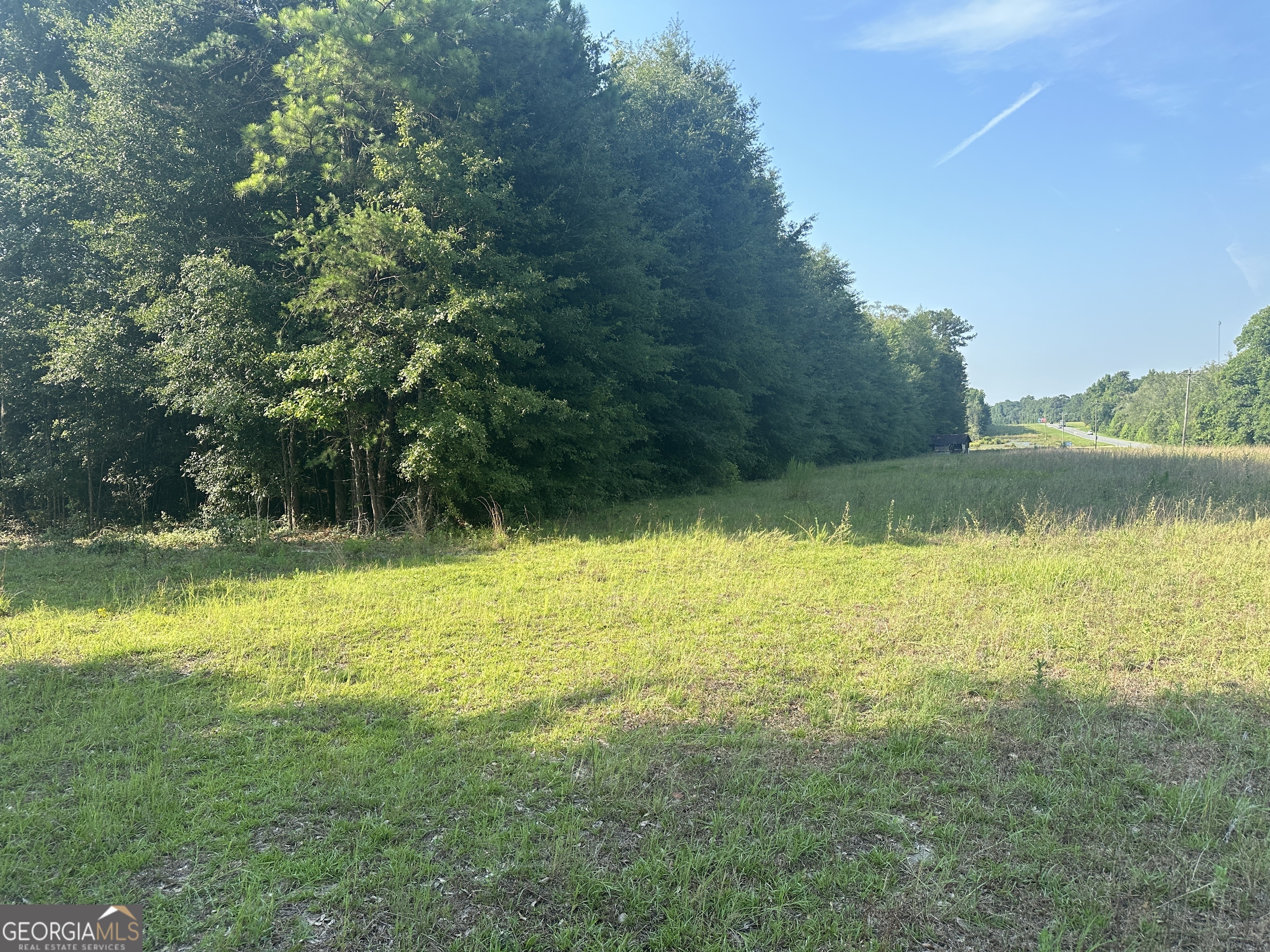 Statesboro Hwy, Sylvania, GA 30467