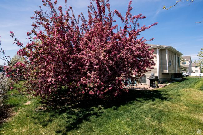 View of the home's exterior featuring a lawn for the East side of the home. | Image 36