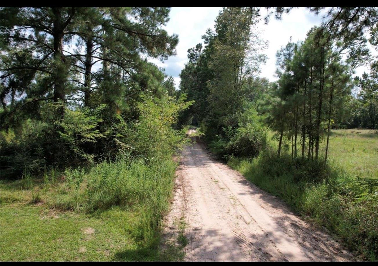 Land in Groveton 2