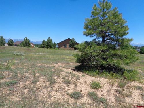 153 Greenway Drive, Pagosa Springs, CO, 81147 | Card Image