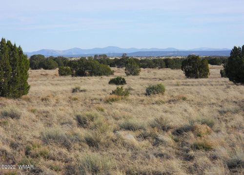 19 County Rd, Concho, AZ, 85924 | Card Image