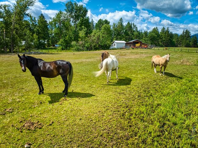 2291 Meridian Rd, House other with 5 bedrooms, 3 bathrooms and null parking in Victor MT | Image 10